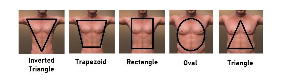 Men's Body Shape Chart